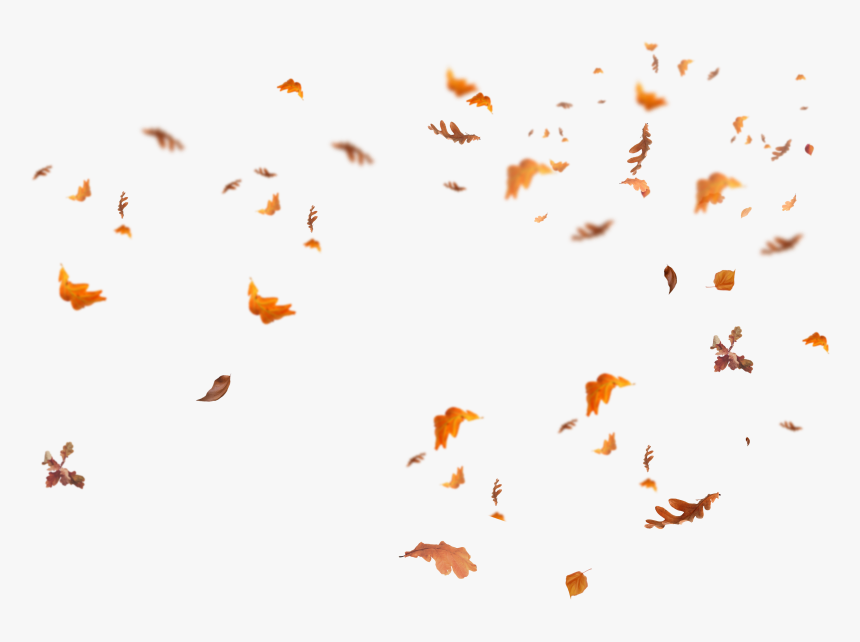 Falling Leaves Png - Transparent