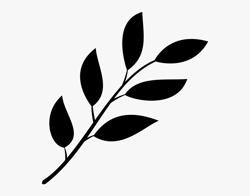 Leaves Png White - Black And Whi