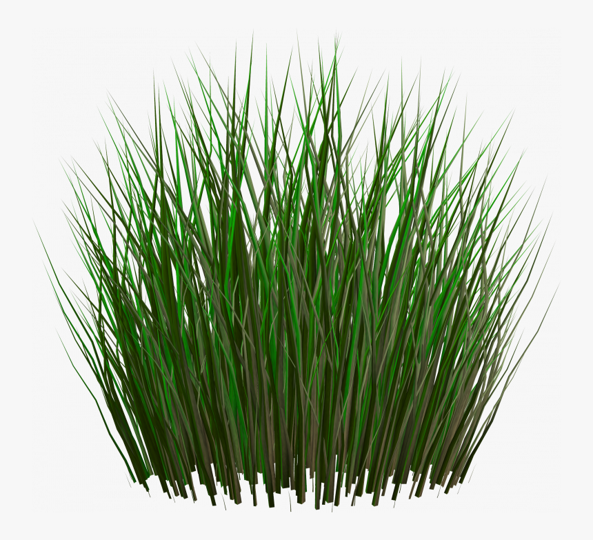 Best Free Grass Png Image Without Background - Grass Plants Png File