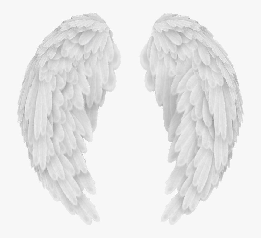 Vector Angel Wings Png Image - T