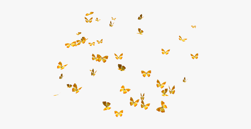 Lots Of Butterflies Png