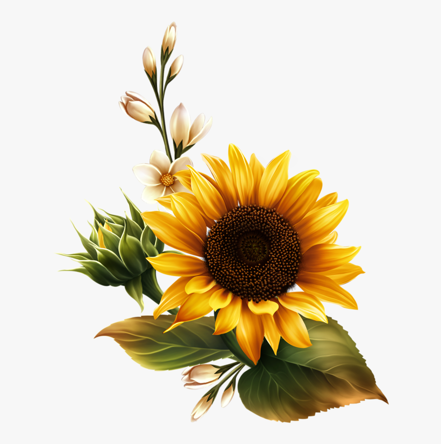 Sunflower Watercolor Png - Real 