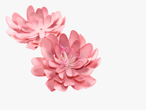 3d Flowers Free Png - 3d Flower Png Free