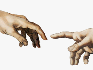 Transparent Back Of Hand Png - Creation Of Adam Sticker
