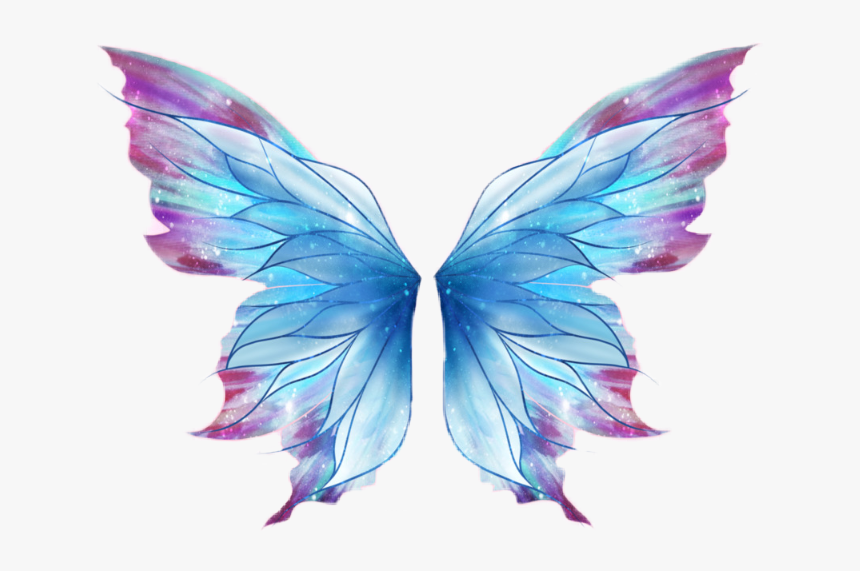 Butterfly Wings Png 