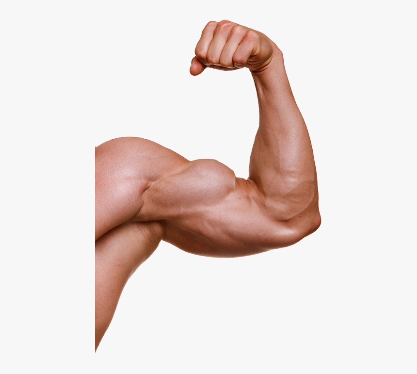Muscle Arm Png - Muscle Arms Png