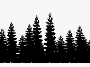 Pine Tree Forest Silhouette