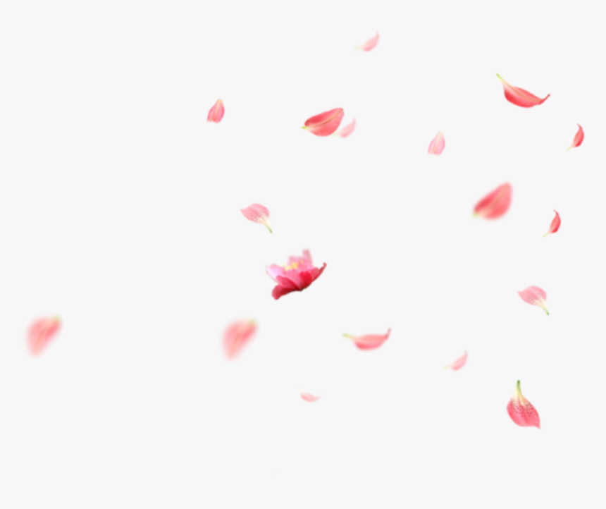 Transparent Falling Flowers Png 