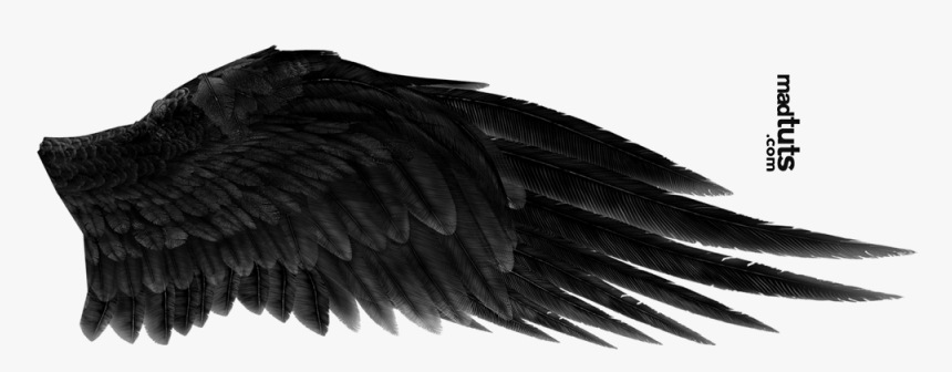 Black Wings Png Free Download - Black Angel Wings Png