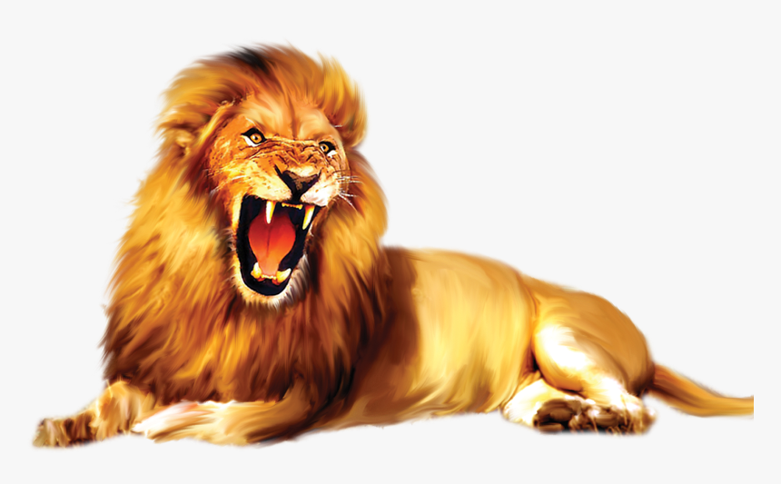 Lion Png