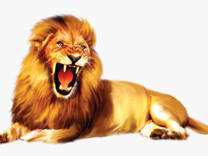Lion Png