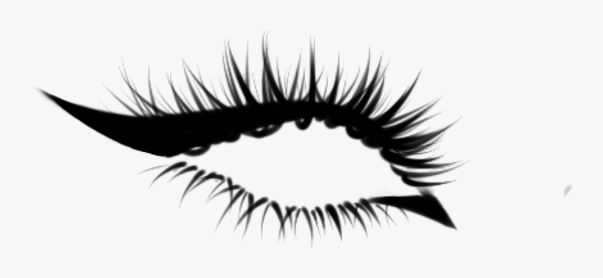 Lashes Procreate Png