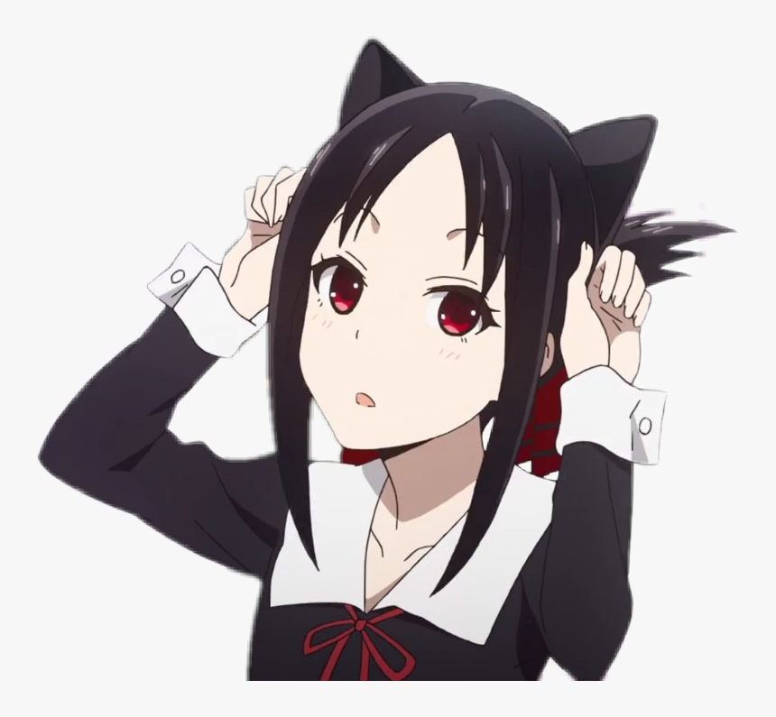 #kaguya #kaguya-sama #waifu #waifu♡ #anime #animegirl - Kaguya Sama Love Is War Cat Ears