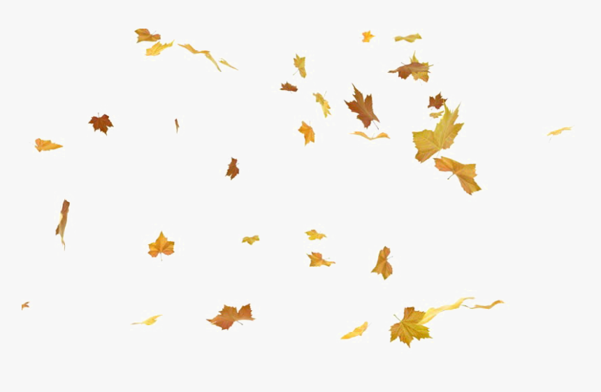 Falling Leaves Png - Autumn Fall