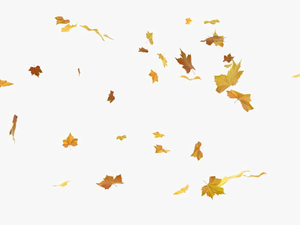 Falling Leaves Png - Autumn Falling Leaves Png