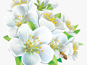 White Flowers Png Hd