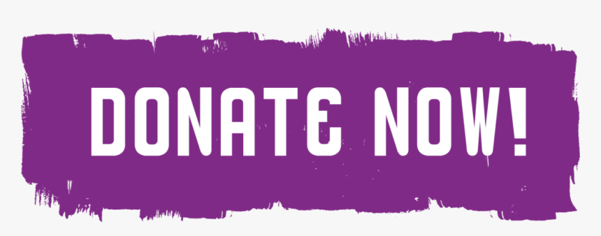 Donate Now - Twitch Donation Button Png