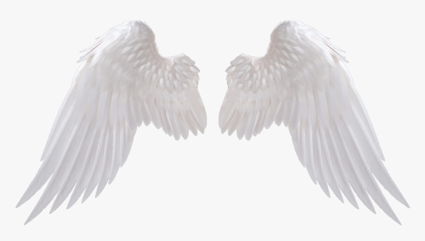 Angel Wings Png Download Image 1