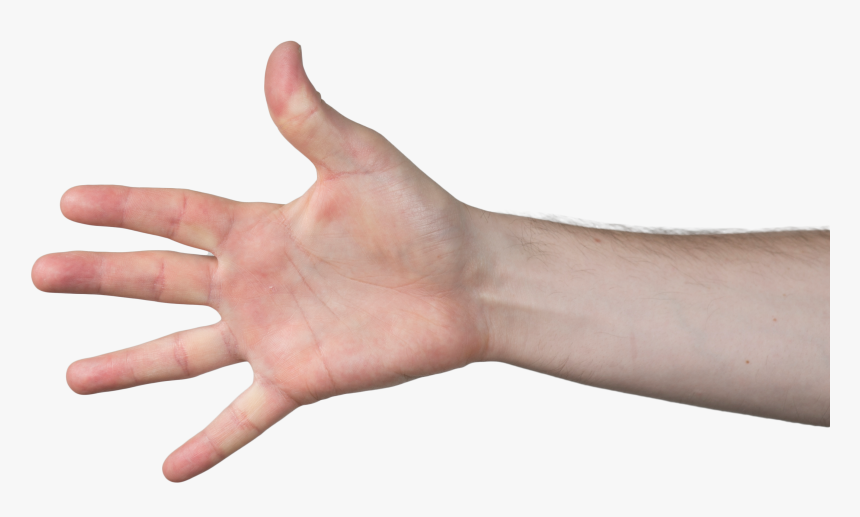 Transparent Grabbing Hand Png - 