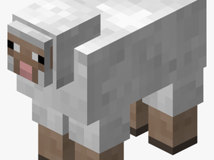 Sheep In Minecraft