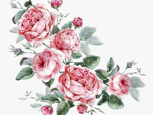 Flowers Stickers Transparent Aesthetic Cute Filter - Aesthetic Transparent Flowers
