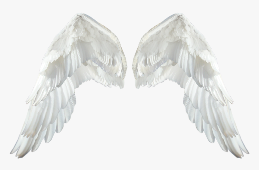Realistic Angel Wings Transparent Png - White Wings Png