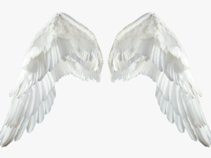 Realistic Angel Wings Transparent Png - White Wings Png