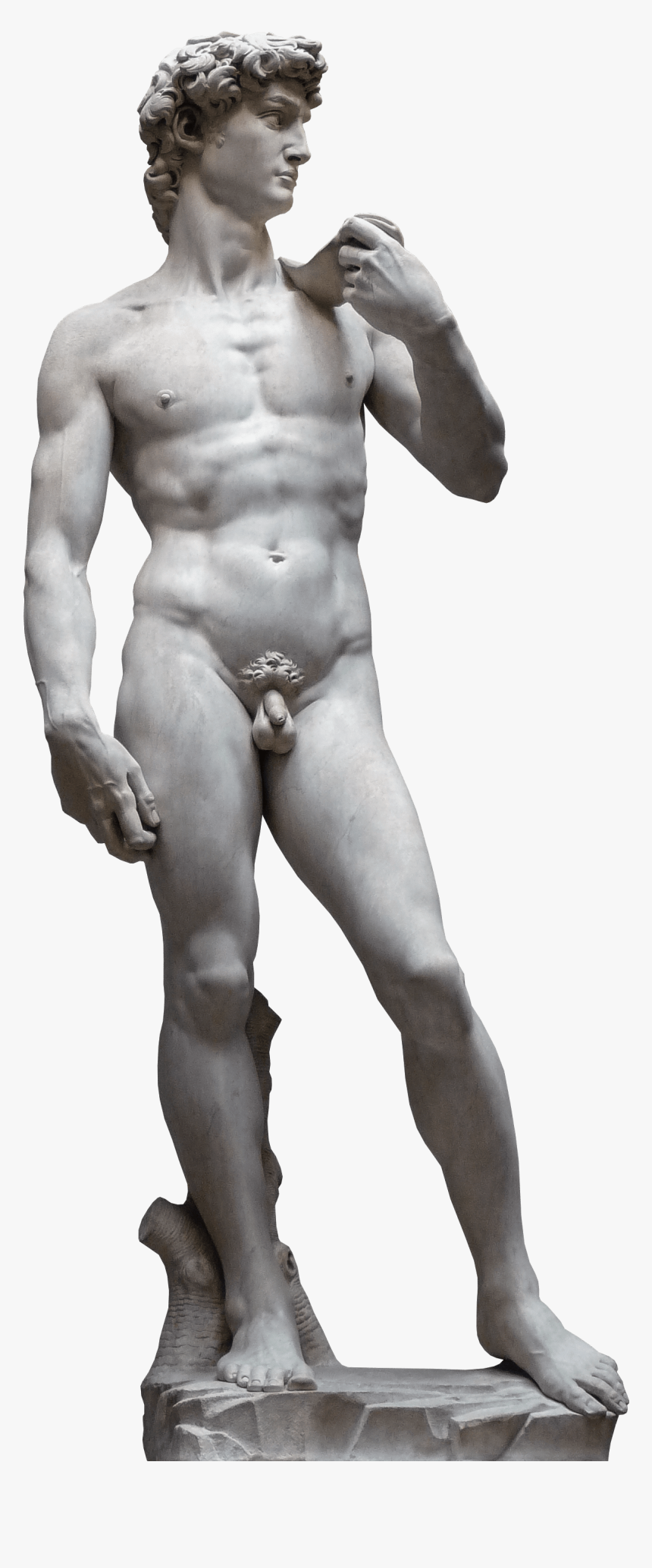 David Statue Png - Accademia Di 