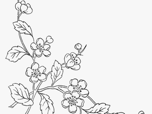 Of Flowers Transprent Free - Transparent Background Flower Line Art Png
