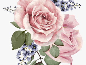 Transparent Background Watercolor Flower Png