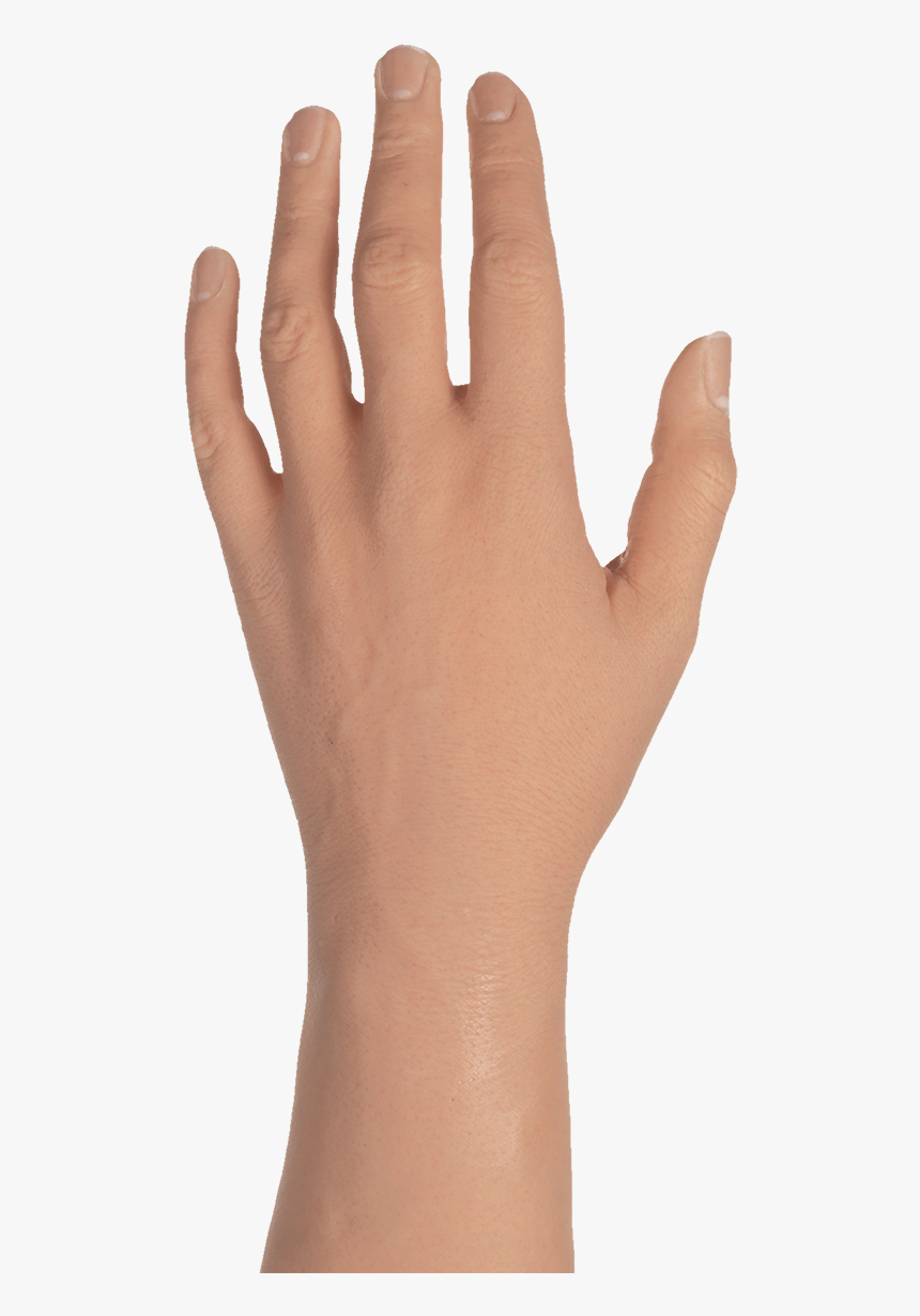 Female Hand Png - Transparent Ma