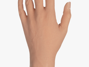 Female Hand Png - Transparent Male Hand Png