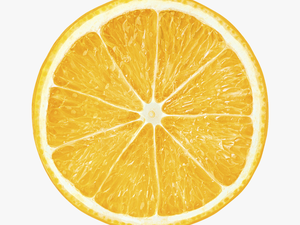 Transparent Lemon Slice Png - Цитрус Картинки