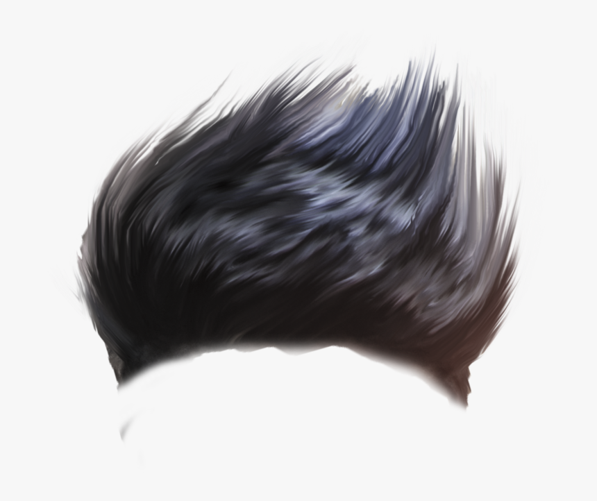 Hair Png - New Hair Png Download