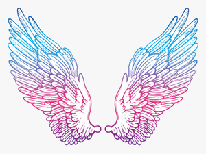 Cute Wing Png - Transparent Cute Wings