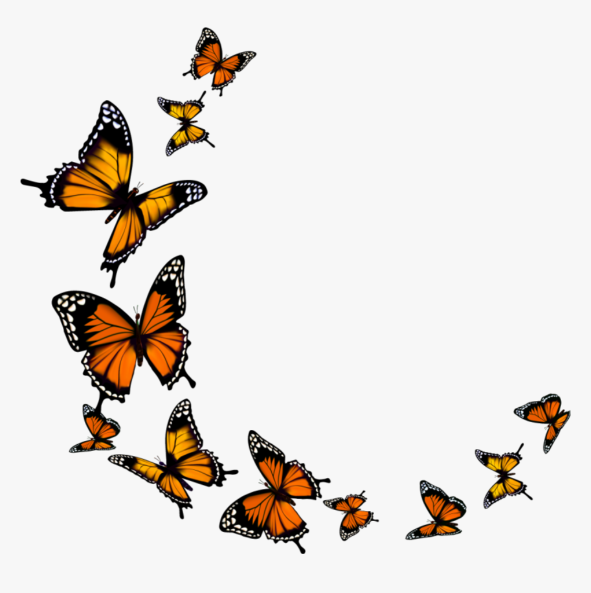 Butterfly Png Download - Transparent Background Monarch Butterfly Clipart
