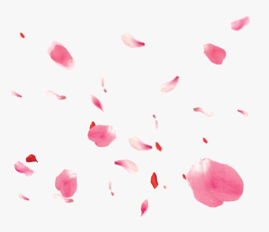 Falling Petals Png - Rose Petals