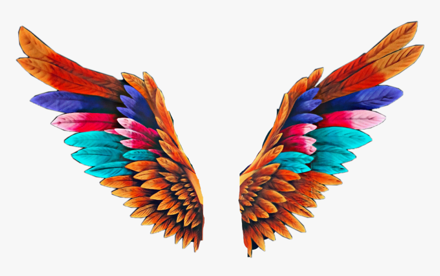 Angel Wings Colorful