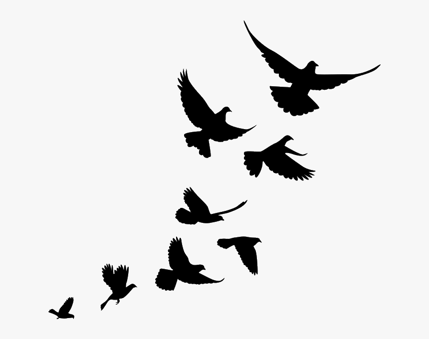 Jiminey Kricket Exterminating Pigeons - Flying Bird Flock Silhouette
