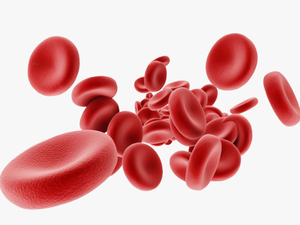 Red Blood Cells Png