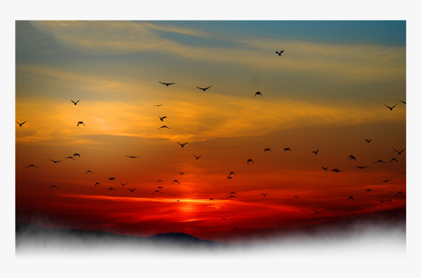#sun #sunset #bird #birds #clouds #cloud #nature #background - Sunset With Birds In Background