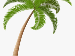 Palm Trees Clip Art - Transparent Background Palm Tree Png