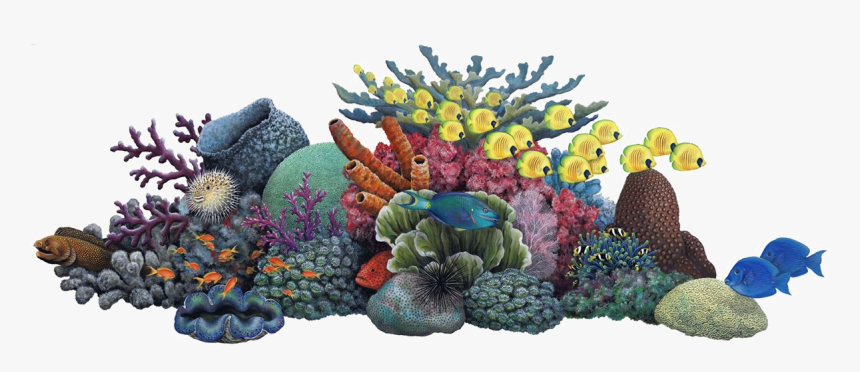 Coral Reef Clip Art - Coral Reef Clipart