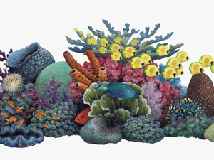Coral Reef Clip Art - Coral Reef Clipart
