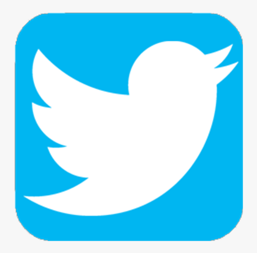 Image - Transparent Twitter Icon Png