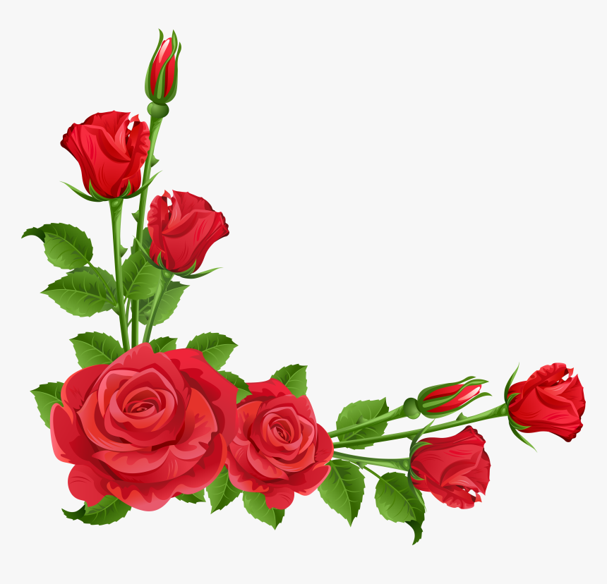 Flower Garden Perennial Plant Pixabay - Flower Rose Border Design