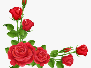 Flower Garden Perennial Plant Pixabay - Flower Rose Border Design
