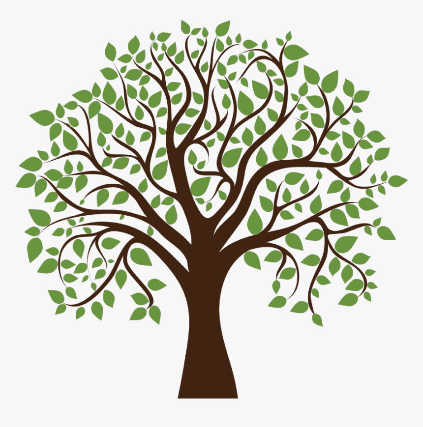 Family Tree Clipart Transparent Background 