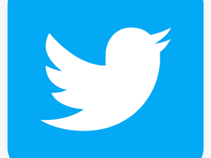 Twitter Logo Round Edges