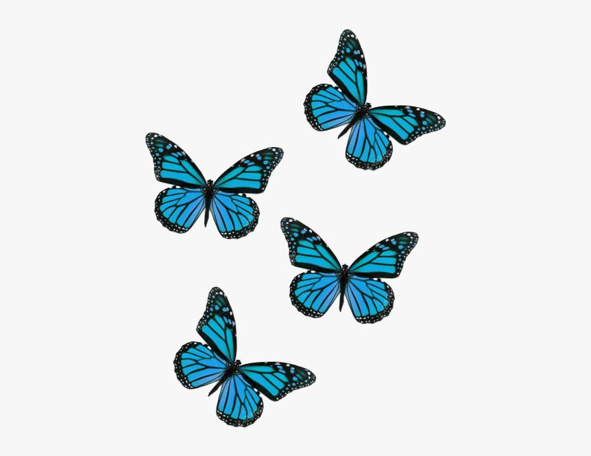 #butterflies #butterfliessticker